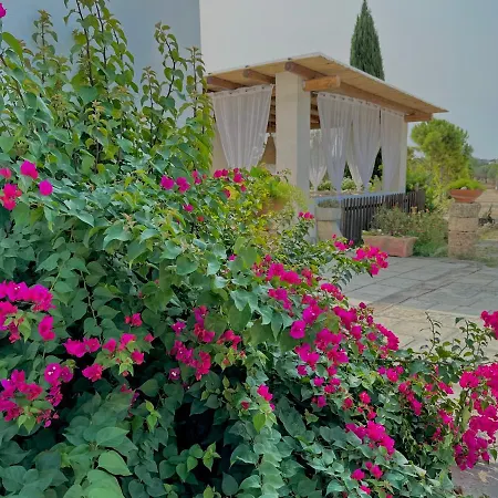 Bed & Breakfast Il Vecchio Torrino Aradeo